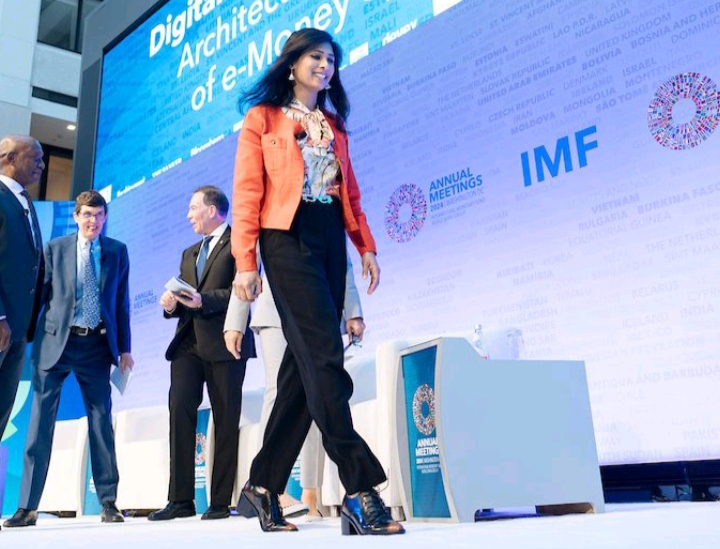 Who Is Gita Gopinath? : The Trailblazing Economist Shaping Global Finance