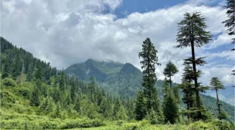Rights groups object to Himachal forest official’s letter on FRA