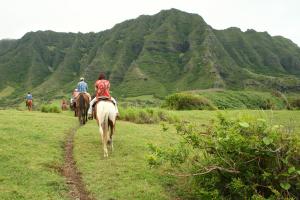 Adventure activities include fishing, snorkeling, surfing, diving, kayaking, stand-up paddleboarding, and extensive hiking and equestrian opportunities