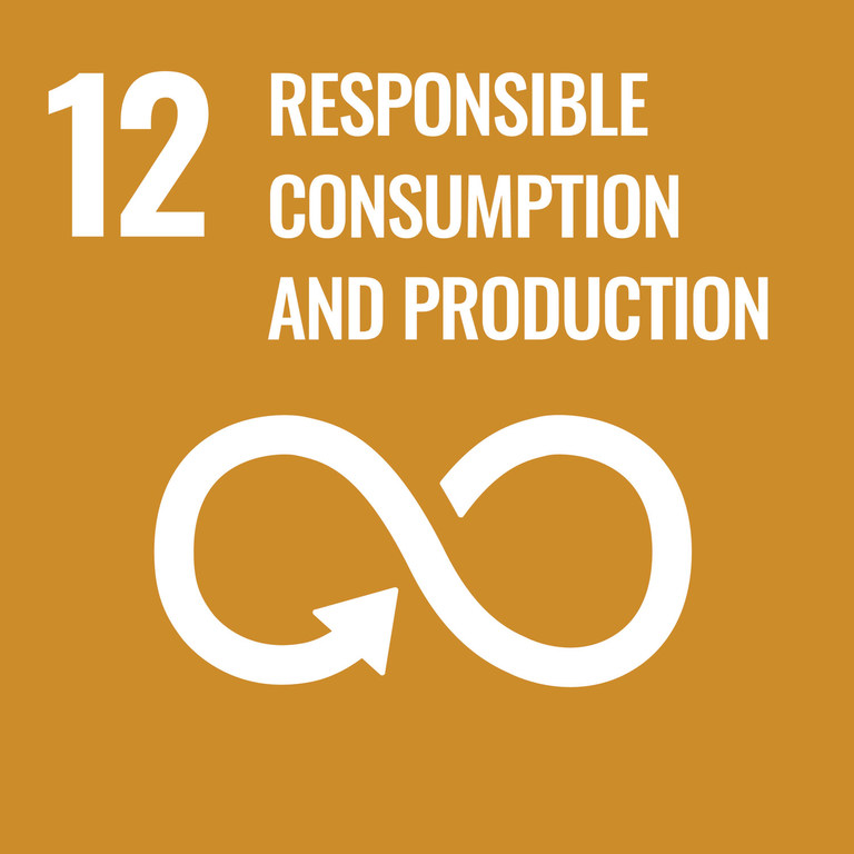 SDG 12 SDG 12