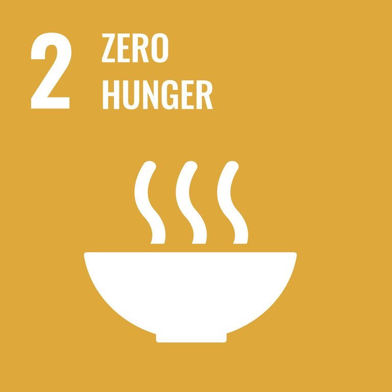 SDG 2 SDG 2