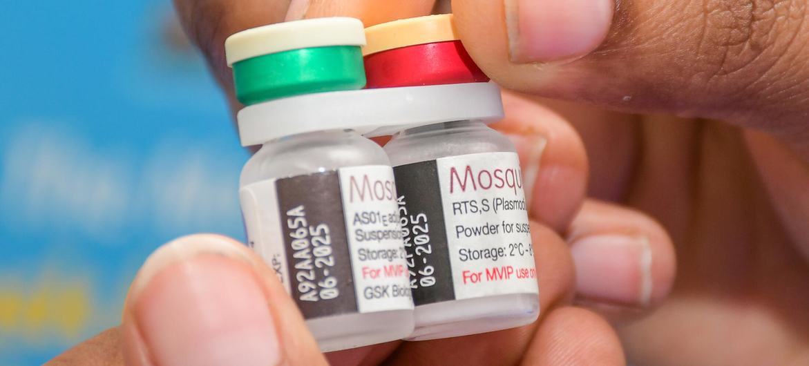A health worker in Kenya holds vials of malaria vaccine to be administered at a vaccination campaign. A health worker in Kenya holds vials of malaria vaccine to be administered at a vaccination campaign.