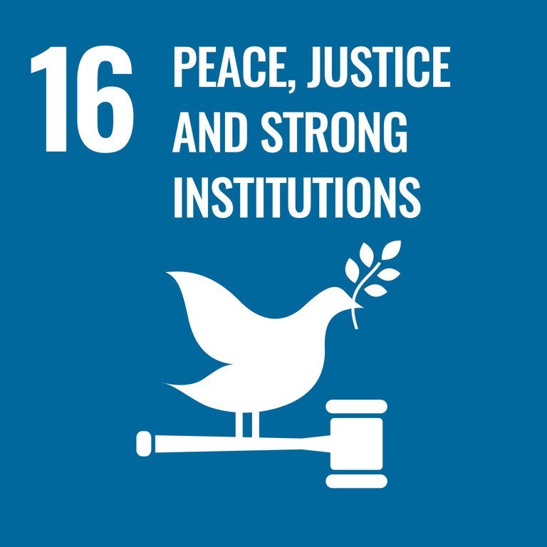 SDG 16 SDG 16