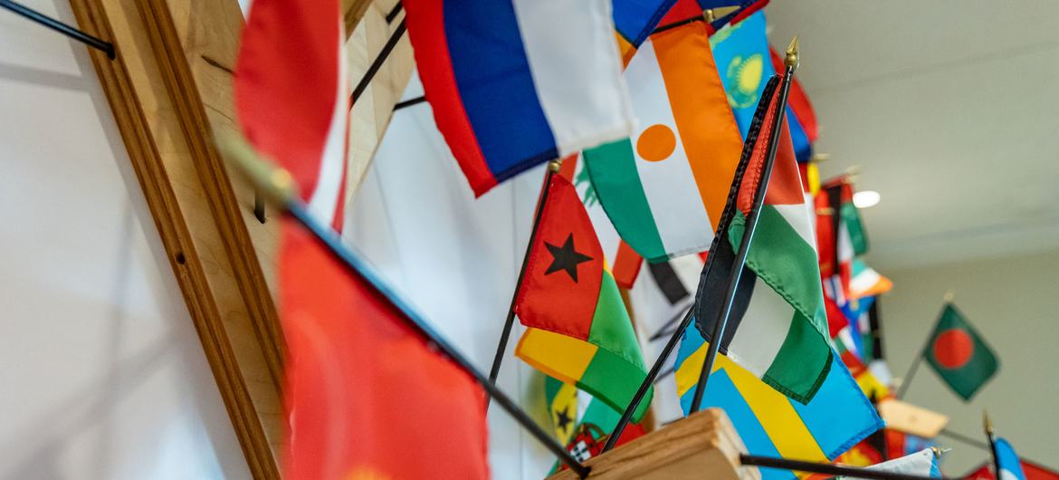 The Summit of the Future to which all UN Member States are invited is due to take place from 22-23 September. The Summit of the Future to which all UN Member States are invited is due to take place from 22-23 September.