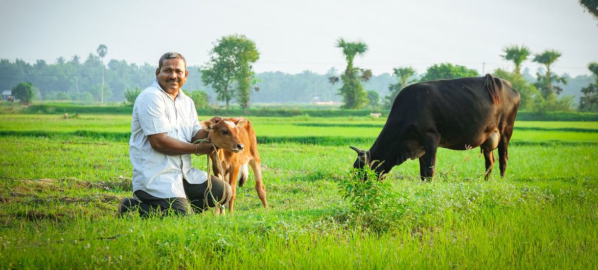 A proud farm owner, Selvan struggled to sustain his livestock during the economic crisis in Sri Lanka. A proud farm owner, Selvan struggled to sustain his livestock during the economic crisis in Sri Lanka.