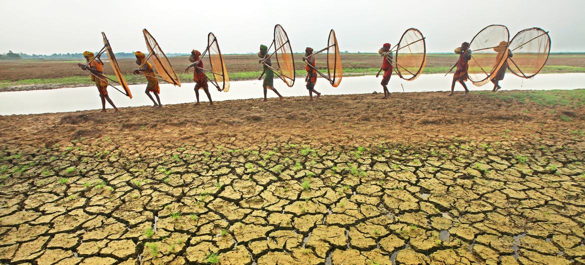 Climate change and unsustainable land and water practices are driving drought conditions across the world. Climate change and unsustainable land and water practices are driving drought conditions across the world.