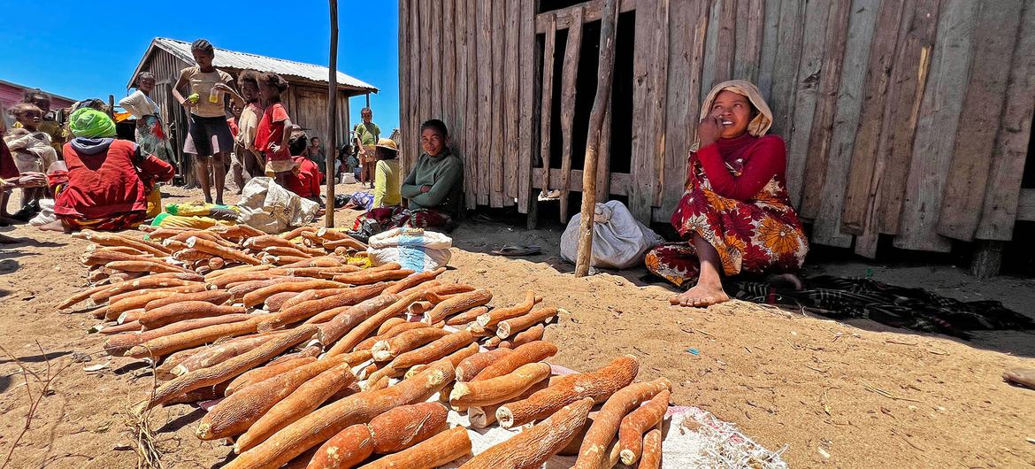 A woman sells produce in the village of Zanavo Fagnalenga. A woman sells produce in the village of Zanavo Fagnalenga.