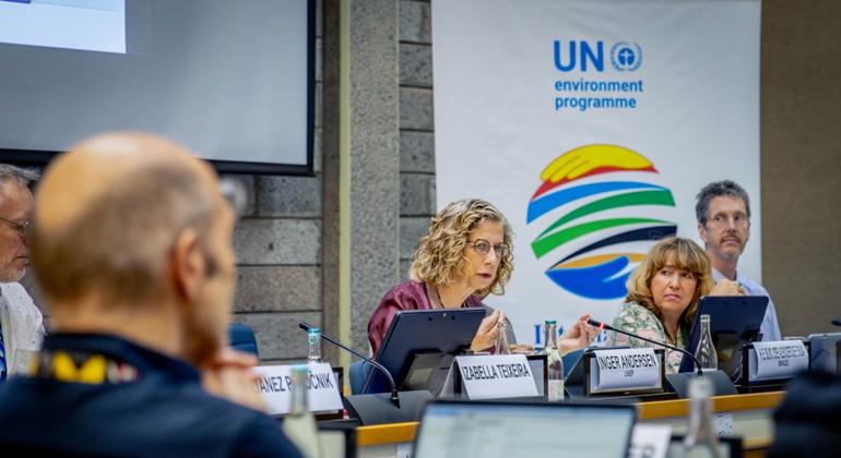 UNEP's Executive Director Inger Andersen at the 31st Session of the International Resource Panel in Nairobi. UNEP's Executive Director Inger Andersen at the 31st Session of the International Resource Panel in Nairobi.