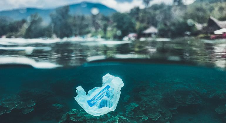 Single-use plastic bag floating by a coral reef, Bali. Single-use plastic bag floating by a coral reef, Bali.