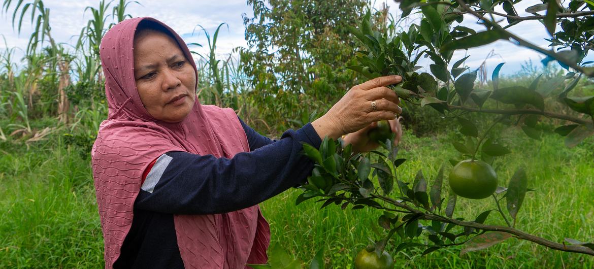 Ms. Ernawati, a former volunteer fire fighter who heads a local farmers’ groupin Teluk Meranti, Riau Ms. Ernawati, a former volunteer fire fighter who heads a local farmers’ groupin Teluk Meranti, Riau