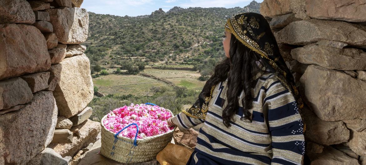 A local girl from Taif, Saudi Arabia, wearing the traditional dress of the region. A local girl from Taif, Saudi Arabia, wearing the traditional dress of the region.