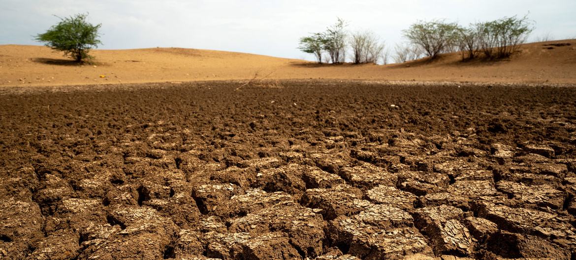 Turkana County in the north of Kenya regularly faces drought conditions. Turkana County in the north of Kenya regularly faces drought conditions.
