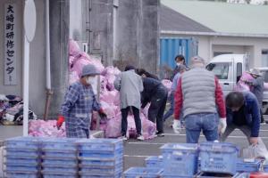 First Person: Japanese town leads the way to a low waste society